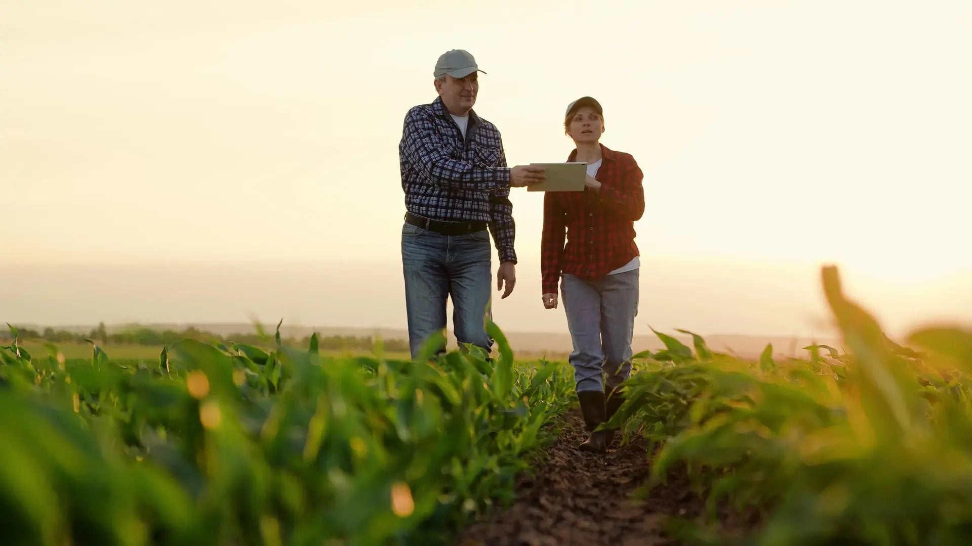 Wachstum braucht professionelle Prozesse: Ein deutsches Startup revolutioniert die Landwirtschaft